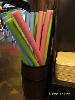 Pool noodles for sale at The Mara, the quick service restaurant adjacent to the main pool at the Animal Kingdom Lodge. 