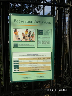 Every Disney resort has scheduled poolside activities. 