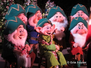 Some characters typically appear only in special circumstances. For example, you'll only get all the dwarfs during evening parties at the Magic Kingdom. 