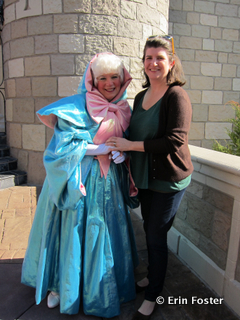 "Face" characters like princesses and the Fairy Godmother are happy to engage you in conversation. 