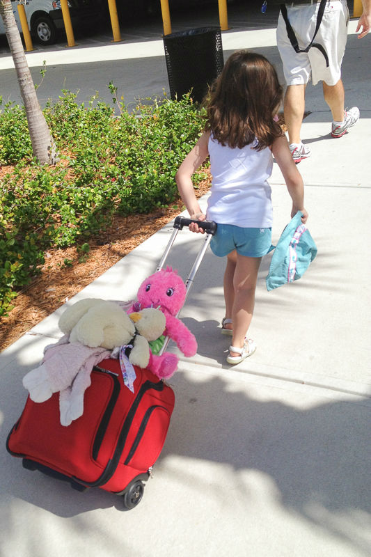 Disney Cruise Trip Planning102 - Carry On
