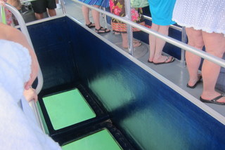 Glass panels inset in the boat bottom. 