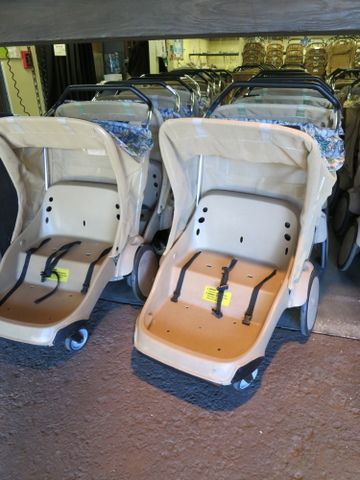 Typical Walt Disney World double rental stroller