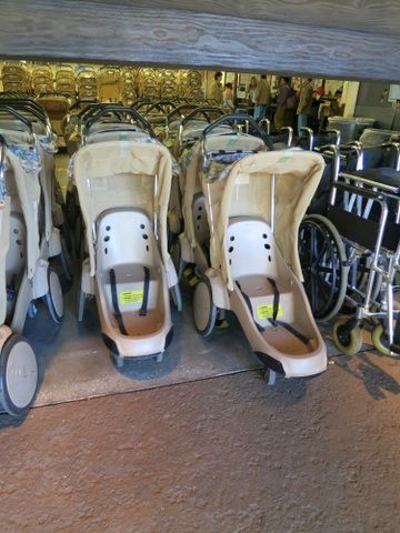Typical Walt Disney World single rental stroller