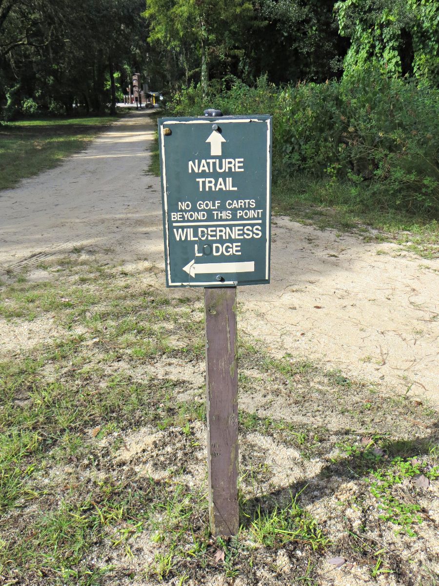 Nature Train Sign