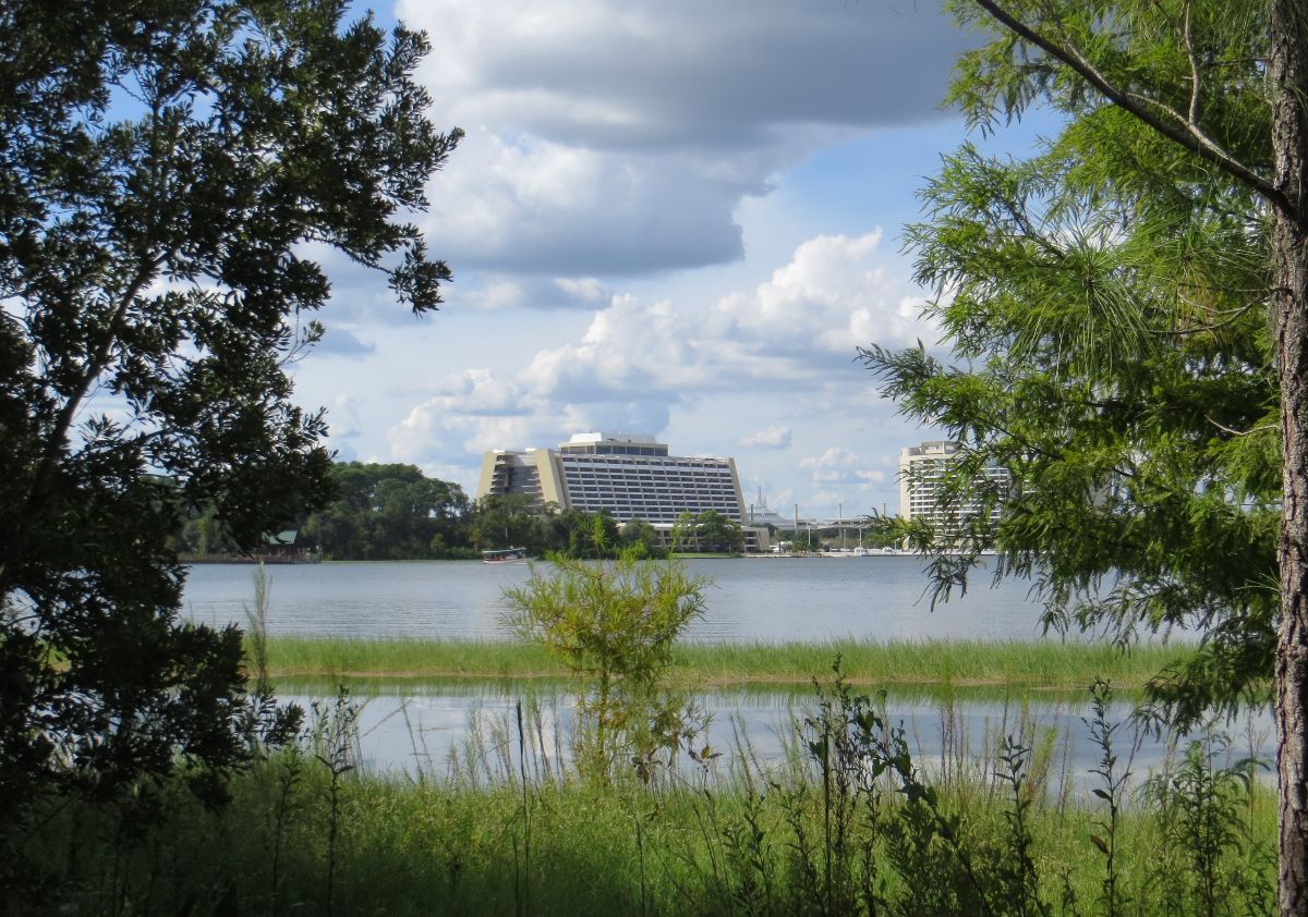 Contemporary Resort in the Distance