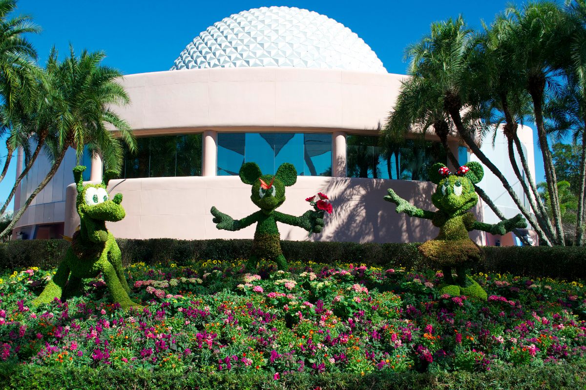 The Mickey, Minnie, and Pluto topiary in the courtyard in front of the tip board. 