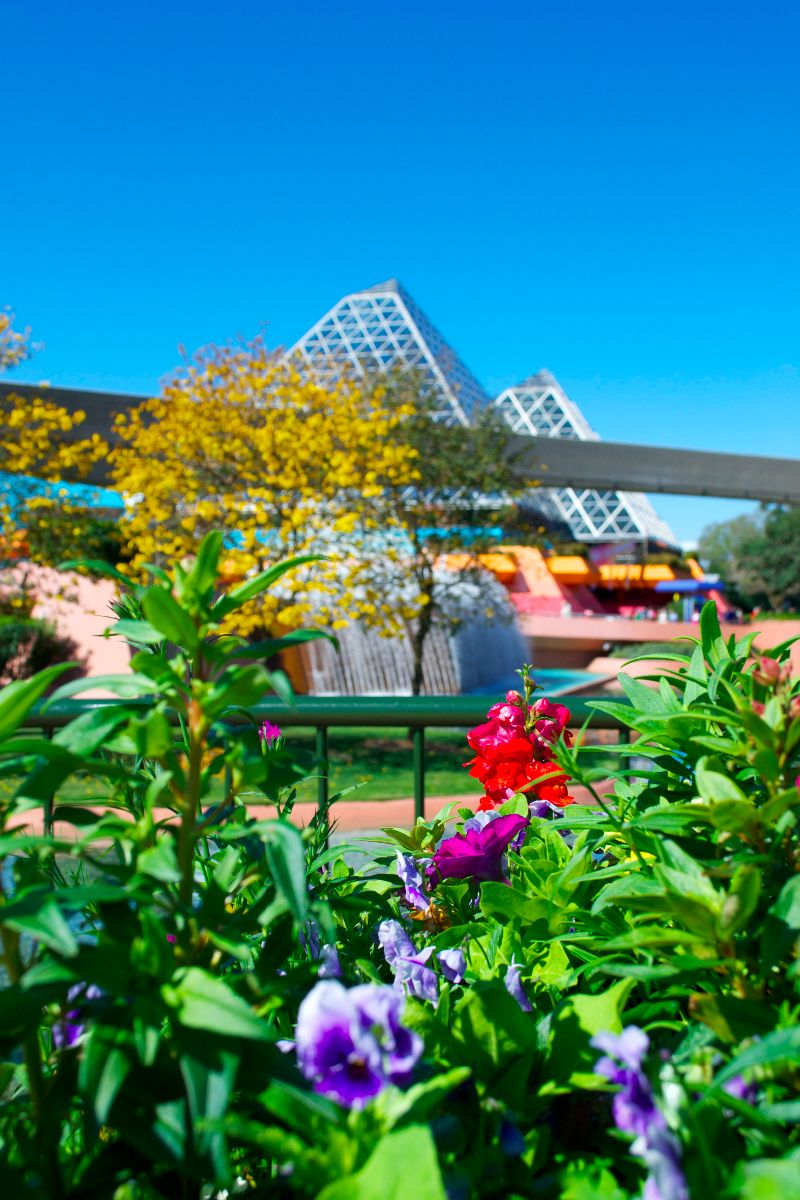 The topiaries are gorgeous, but be sure to take time to note the extra plantings around the park like these near the Imagination pavilion as well.