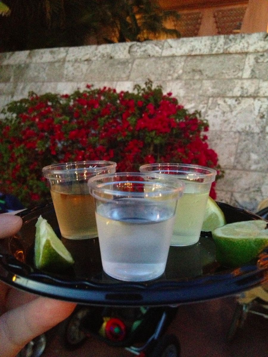 Hydrate before trying this tequila flight in the Mexico Pavilion