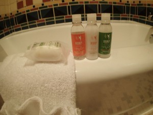 H2O products at the Disney resort hotels. 