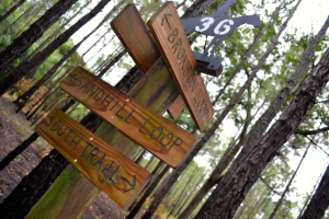 Twenty-five miles of hiking and equestrian trails loop and intersect around the park