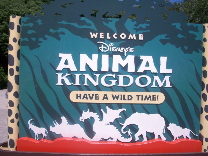 Animal Kingdom Sign - A Glass Slipper Vacation