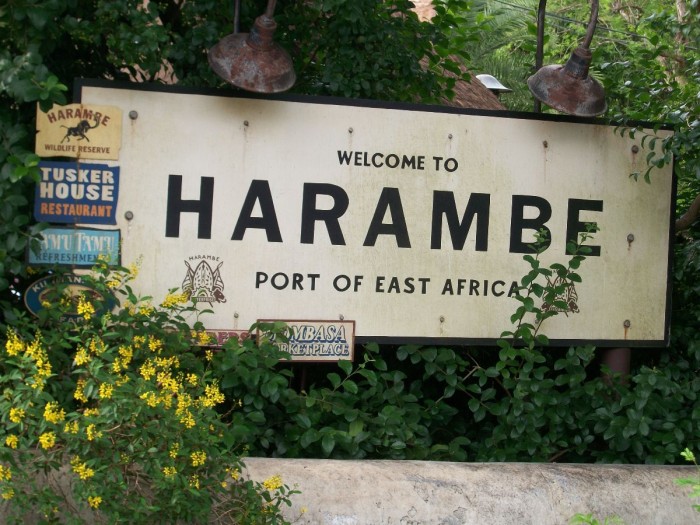 Animal Kingdom Harambe Sign - A Glass Slipper Vacation