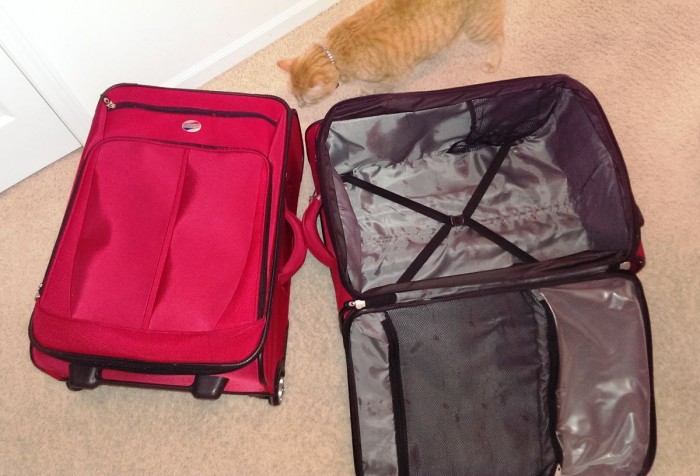 Ultra light and ultra large are the key features of this luggage.* *Adorable cat not included