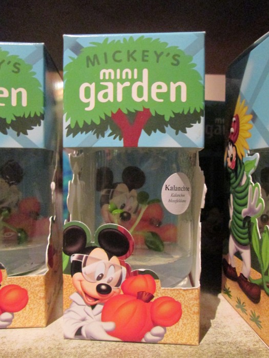 Mickey's Mini Garden