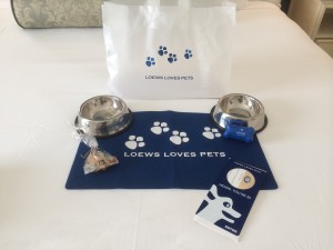 Loews loves pets goody bag