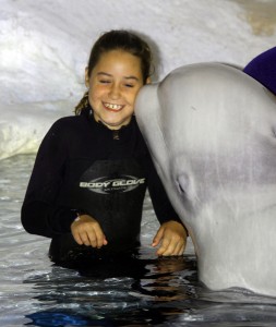 SeaWorld beluga whale Aurek and guest during the Beluga Interaction Tour. Photo by Thomas Cook
