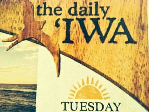Daily Iwa