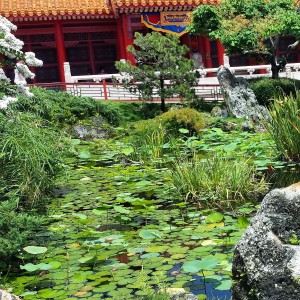 Pretty Pond in China