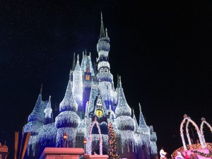 Cinderella Castle with Holiday Lights. Photo - Laurel Stewart