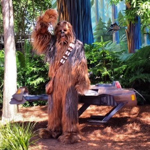 Hollywood Studios, the place where you can give Chewbacca a high five. © Katie McNair