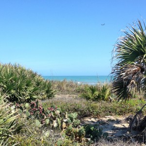 View from the Boardwalk, Hightower Beach Park, Satelliite Beach