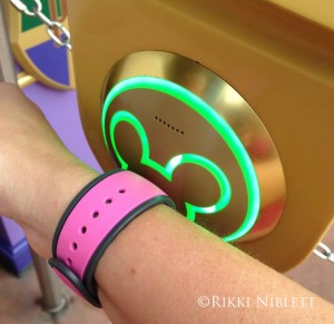 MagicBand / FastPass+ / My Disney Experience