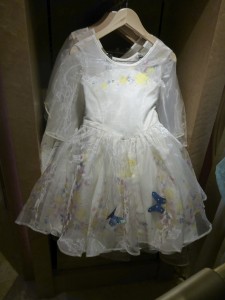 Princess dress sold on board the Disney Fantasy. 