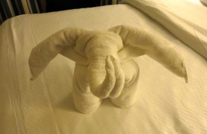 Learn how to make your own towel animals. 