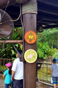 Look for small signs to show you where you can earn a badge, and note the one on top which shows you can sign up as a Wilderness Explorer.