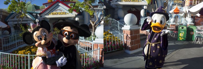 Several characters are out in special Halloween-party-only costumes during the Toontown Pre-Party.