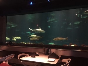 The décor at Sharks Underwater Grill is subtle and intimate.