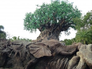 Disney's Animal Kingdom's Tree of Life