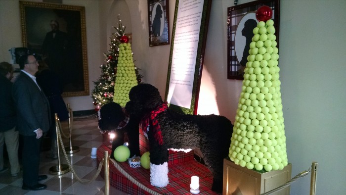 The First Dogs and their tennis ball trees (being admired by your friend and mine, Len Testa)