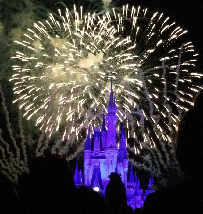 There are plenty of great views of Wishes that do not require you to use a FastPass+