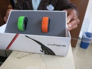 MagicBands are included with your Disney resort stay. 