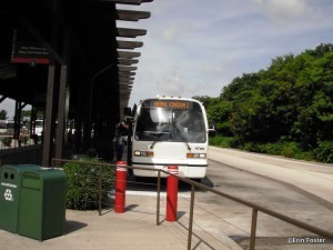 There's no need to tip the Disney bus, boat, or monorail drivers on property. 