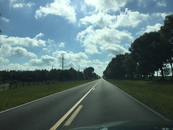 Country road in Marion County, FL