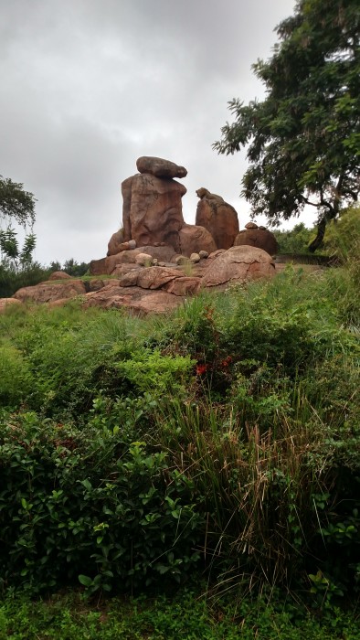 The male lion perched on his rock