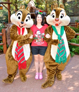 DCA Holiday Chip and Dale