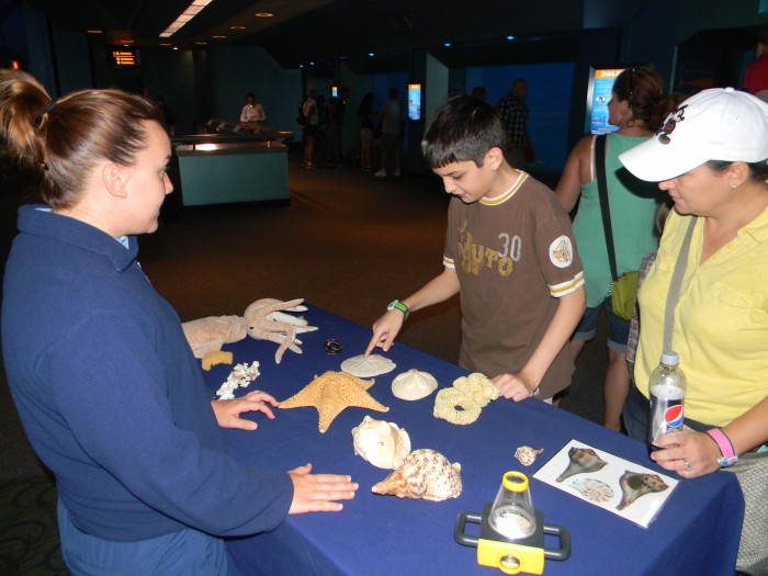 Cast members provide a variety of learning opportunities for young visitors.