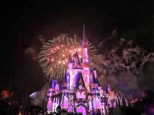 Happily Ever After - Pink Castle