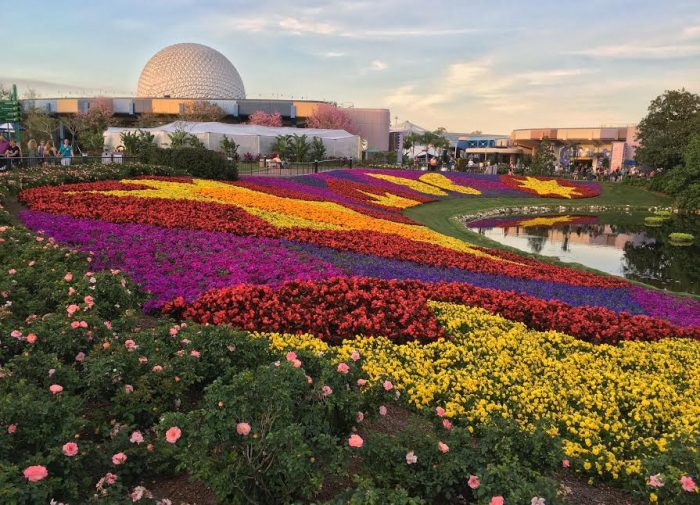 The iconic "flower blanket" is one of the many favorite views of the Epcot Flower and Garden Festival.